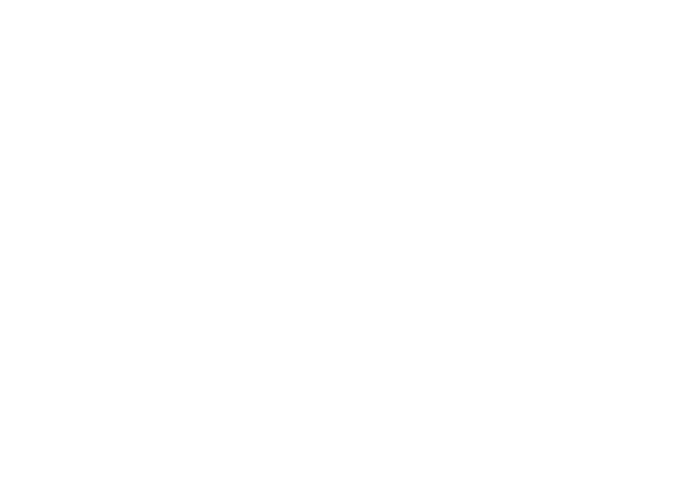 Start rite Shoes Case Study